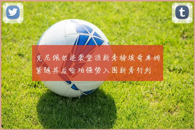 克尼佩尔逆袭登顶新秀榜埃奇库姆紧随其后哈珀强势入围新秀行列