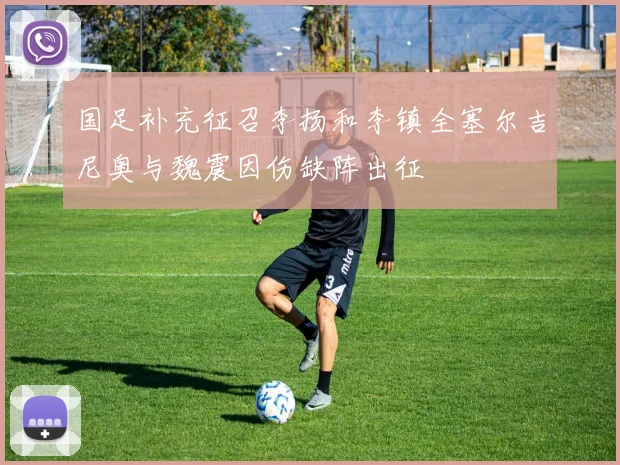 国足补充征召李扬和李镇全塞尔吉尼奥与魏震因伤缺阵出征